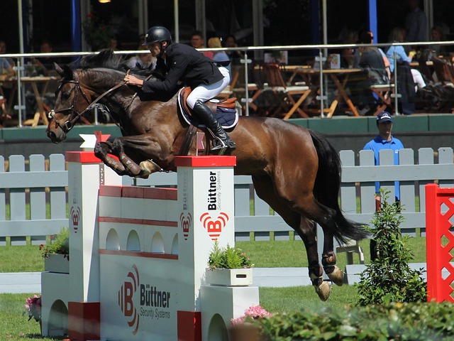 球员在关键 球员在关键