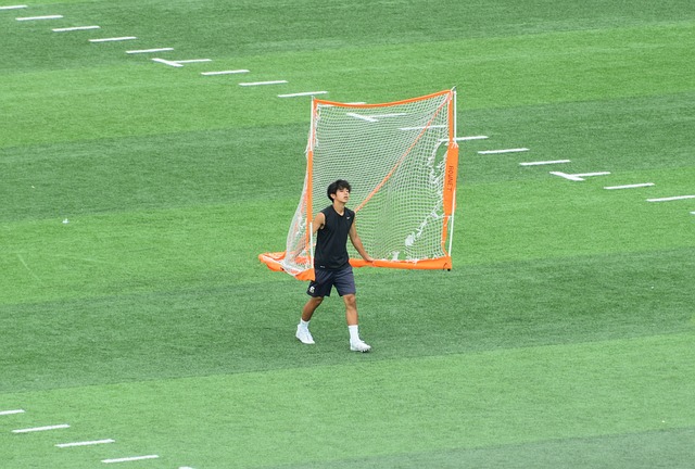 的朋友们来