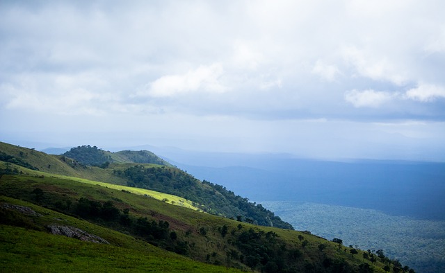 在这场比赛 在这场比赛