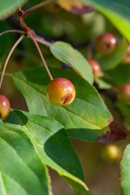 了他们强大 了他们强大
