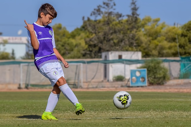 顾其他球队 顾其他球队