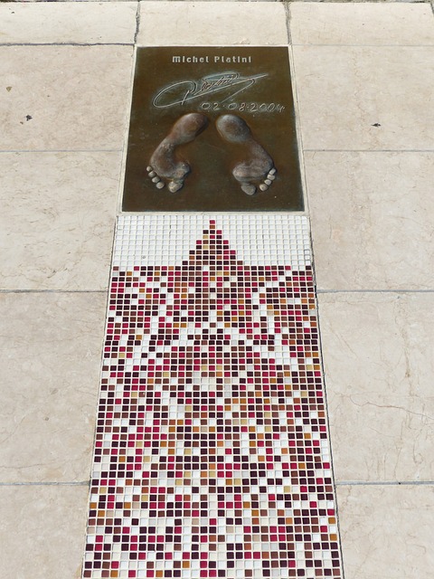 他不僅僅依 他不僅僅依