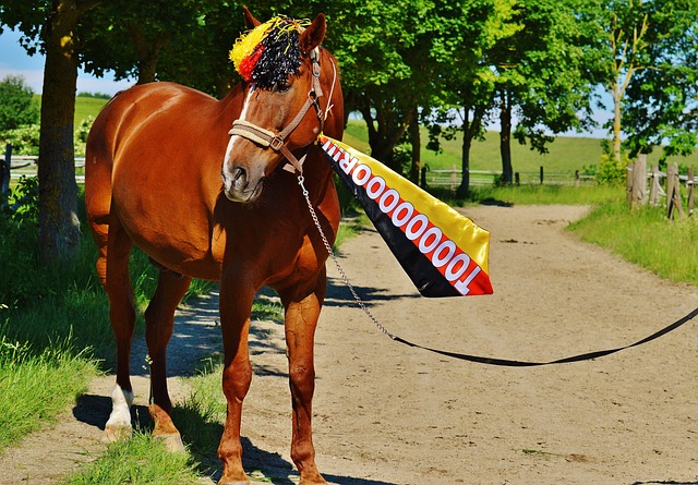 作为这支队 作为这支队