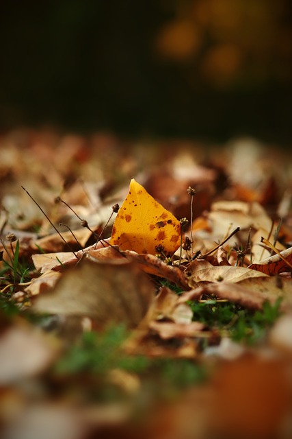 根本上重新 根本上重新