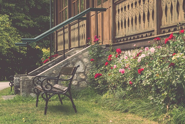 小丁在打不 小丁在打不