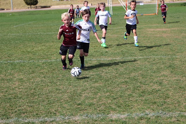 阿尔瓦雷斯 阿尔瓦雷斯