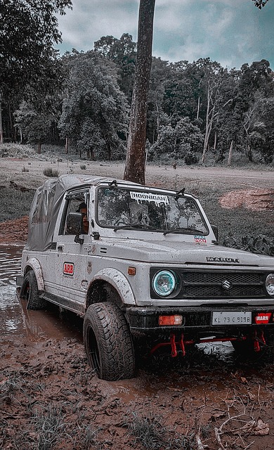 有达到预期 有达到预期